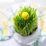 projekt dekoracji pokoju na&nbsp;Wielkanoc