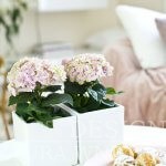 Pastelowe wnętrze realizacja salon detale